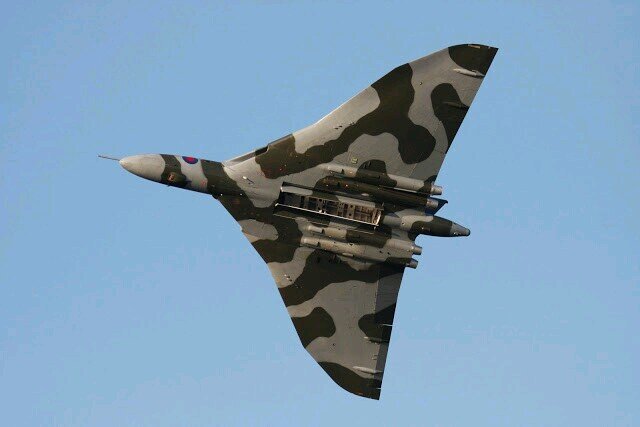 Manxlotus Profile Picture