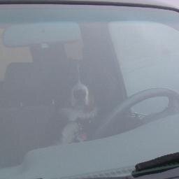 khartle's profile picture. SR&ED Expert. Die Hard Buffalo Bills Fan