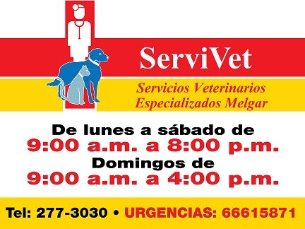 CVServivet's profile picture. Clínica Veterinaria. Para mayor información 277-3030.