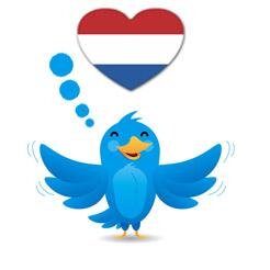 Gerichte Nederlandse Twitter volgers Kopen