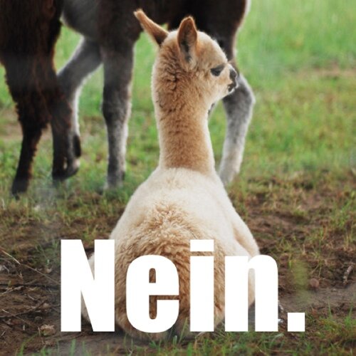 Negotiating backend since 2005.