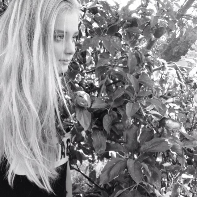 Sascha_Sasci's profile picture. 