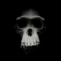clint jenkins (@talktoclint) 's Twitter Profile
