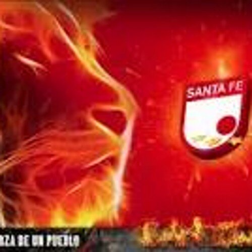 Julian_egn's profile picture. 