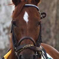 itsallgrey2me (@itsallgrey2me) 's Twitter Profile Photo