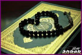 طالب تحفيظ الصف السادس
هواياتي:السباحه
كرة القدم
كرة السلة
المادة المفضلة:العلوم
