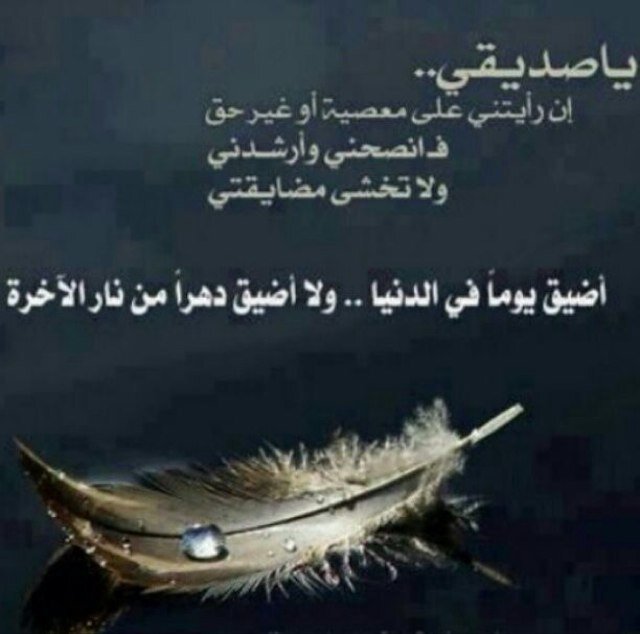 3noooda_ Profile Picture
