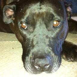 SoperStar3427's profile picture. Krav Maga, Football, baseball, hiking, laughing, grilling