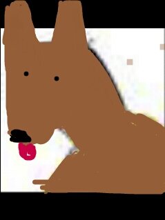 soy un burro con mucho swag enamorado de mis manolillas