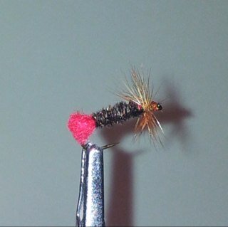 #ASH #Atheist #secularist #rugby fan #liberal and #leftish #anyonebutCorbyn#fly tying#fly fishing