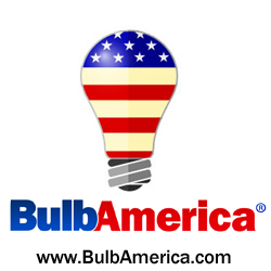 Selling Light Bulbs, Incandescent, CFL, LED, Compact Fluorescent, Stage Lighting.