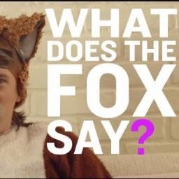 Watdoesdefoxsay's profile picture. What does the fox say??/??