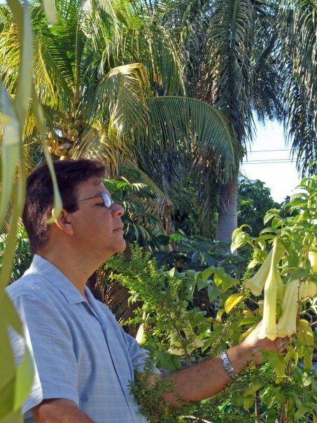 adol1960's profile picture. un paisajsita de ideas