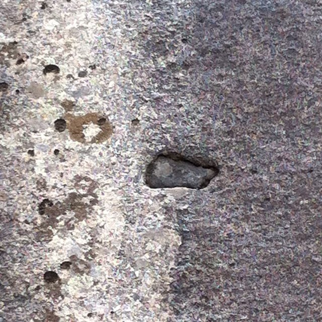 MartinPasquali's profile picture. 