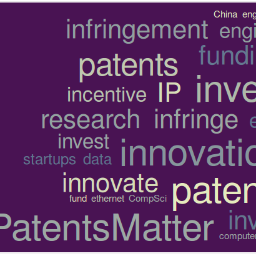 Patents help secure investment for young companies.
Patents are the lifeblood of innovation.