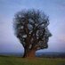Twitter Profile image of @MentalHealthRes