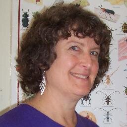 producer and supplier of beneficial insects, mites and nematodes for biological control of plant pests and filth flies