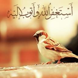 رحمكك الله ي ابونا واسكنكك فسيح جناتككك