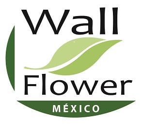 WallFlowerMex's profile picture. 