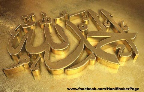 HebaEltenahy's profile picture. رسامه كاريكاتير وبحاول ارسم البسمه على الوجوه بس في حضور العقول