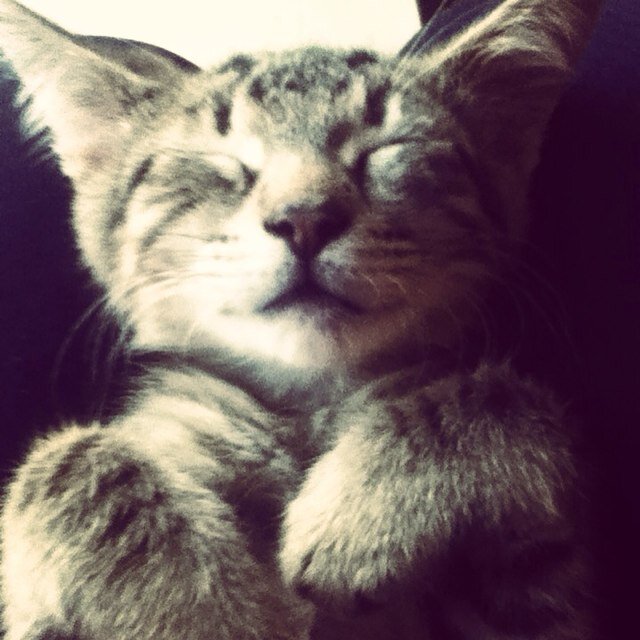 _xilovejustinx's profile picture. Its A Teen Thing❤