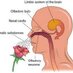 I Love Aromatherapy (@eotherapy) Twitter profile photo I Love Aromatherapy (@eotherapy) Twitter profile photo
