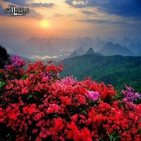 درر وفوائد (@dorar__f) Twitter profile photo