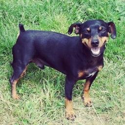 Jpopz's profile picture. Tracks on tracks on tracks...
http://t.co/tY4wFyrg41