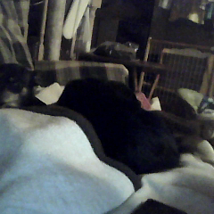 SOweMEETtoFALL's profile picture. im bored lol but yea so see the girl in this picter with me i love her she's my baby always well be lol but yea im james hi