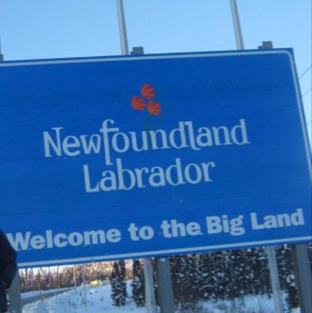 LabradorLassie's profile picture. 