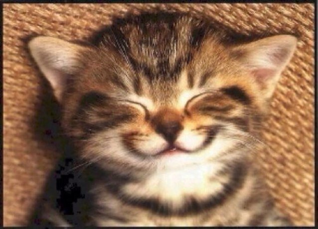 ceeceeny1's profile picture. I love to sleep in the sleepless city :-)