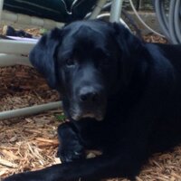 Julie Bartolacci (@juliebartolacci) 's Twitter Profile