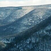 AlleRidgeBrew's profile picture. Just a guy making beer with some buddies... for now.