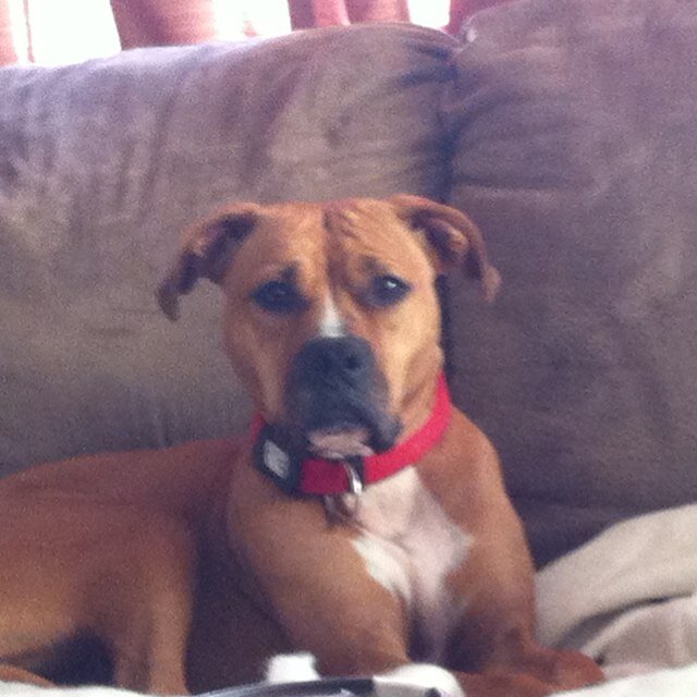 JaneShears1's profile picture. 