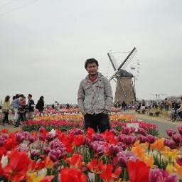 Telecom Programmer