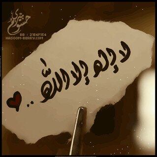 ospf_1144's profile picture. 