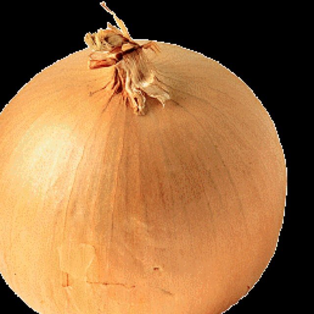 onionproblems's profile picture. just a classy onion trying to stay alive in this crazy world #onionpeace ✌️