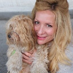 Stories of a healing heart #Havanese therapy dog and the people that embrace his unique love - INSTAGRAM: @cubo_nadine