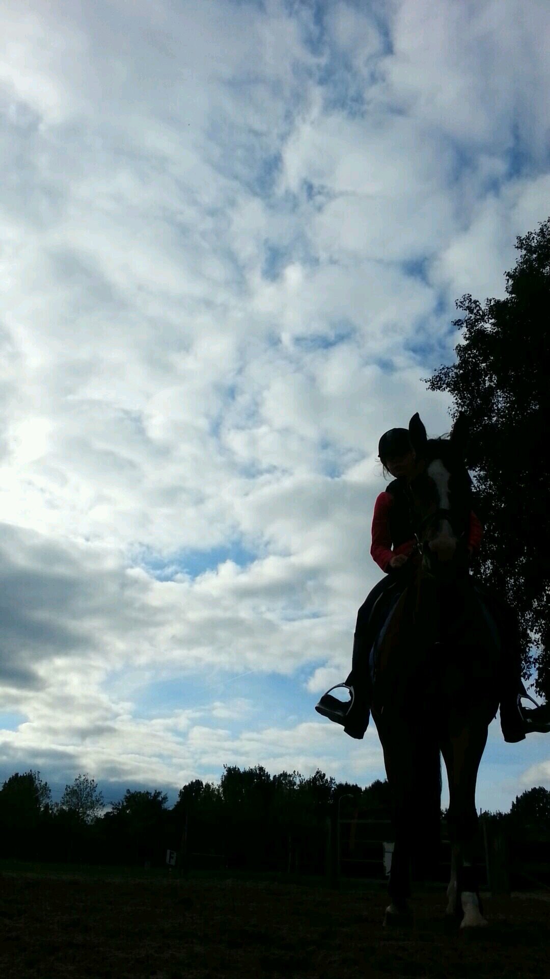 we love horses ♥♥♥