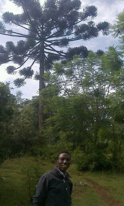 angegracious's profile picture. 