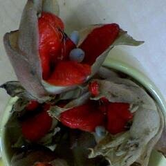 ick_cki's profile picture. 