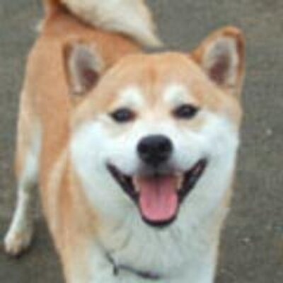 Winu 白鵬は例の一件 ほとんどダンマリを決め込んでいる たぶん本人の中では 今場所優勝して 千秋楽のインタビュー でようやくファンに謝罪 みたいな腹積もりでいるんじゃなかろうか と妄想 Winu 白鵬は例の一件 ほとんどダンマリを決め込んでいる たぶん本人の中では 今場所優勝して 千秋楽のインタビュー でようやくファンに謝罪 みたいな腹積もりでいるんじゃなかろうか と妄想