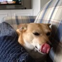 elizabeth toth - @elizabethtoth2 - Twitter