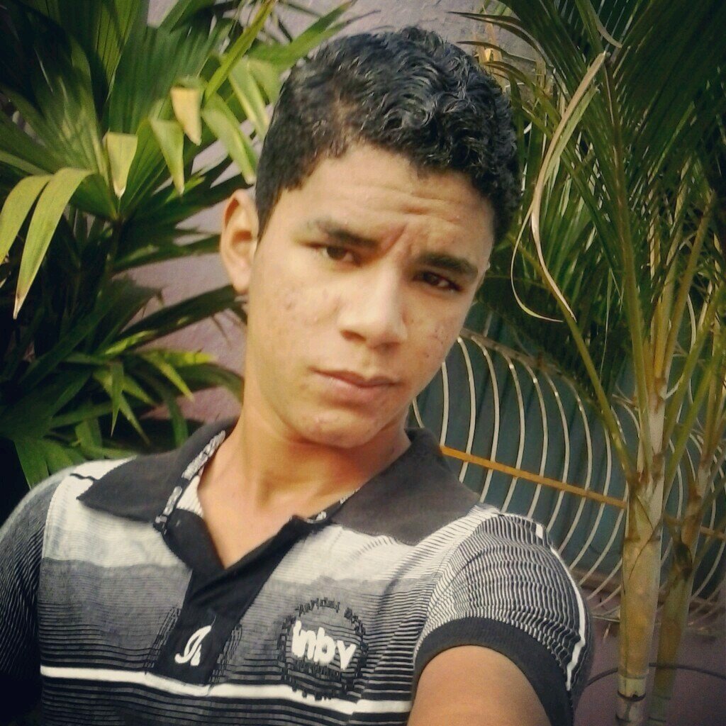 Little Monster / Pará - Brasil / WhatsApp: 91 9144-9797 /