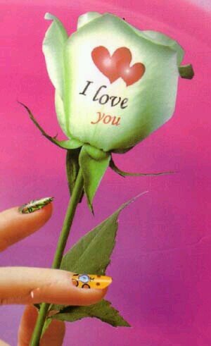 shatha143330's profile picture. 