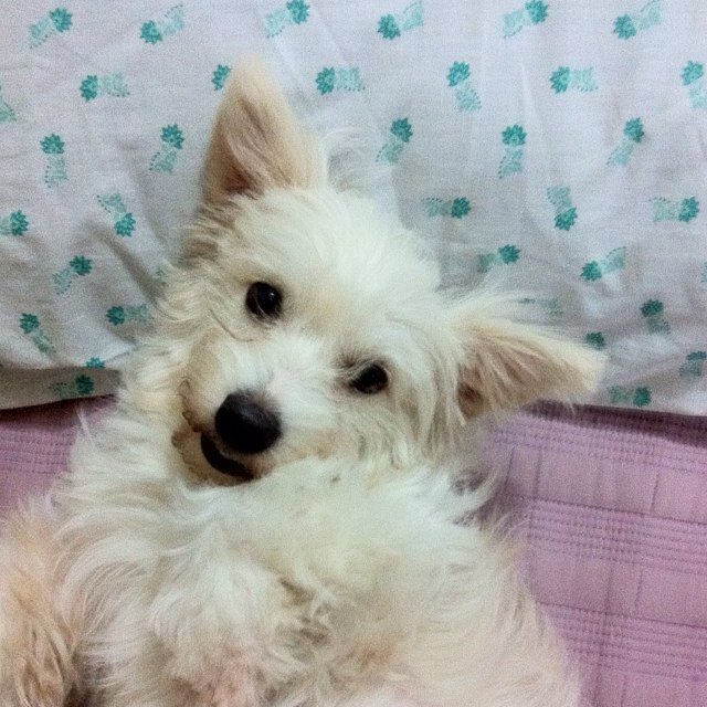 LunyssaO's profile picture. 