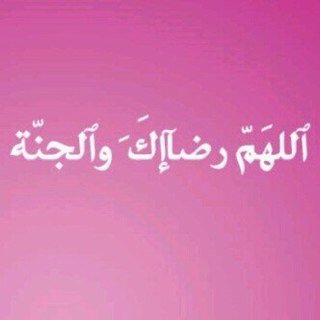 hummod3li's profile picture. 