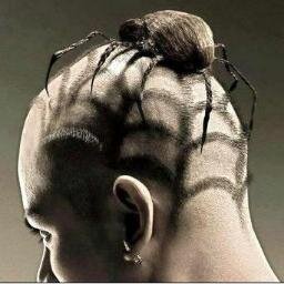 IamSEastwood's profile picture. What would you do differently if you knew nobody would judge you?