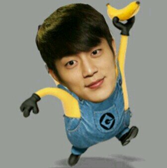 ToRi_YC Profile Picture