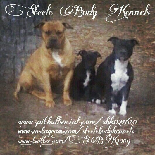 A high quality, low quantity breeding facility.